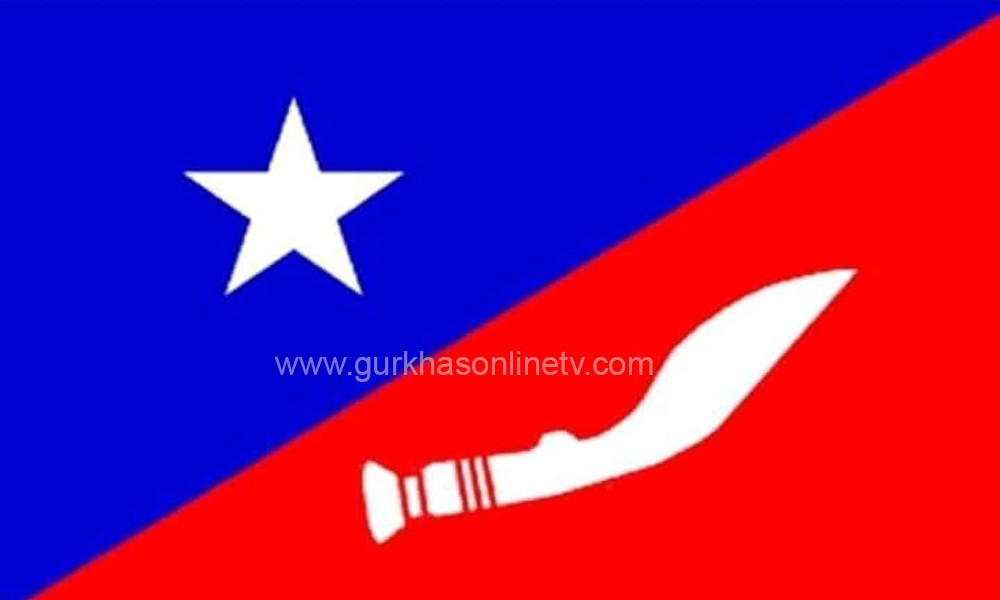 एम.एन.अाे.काे सांगठनिक झण्डा