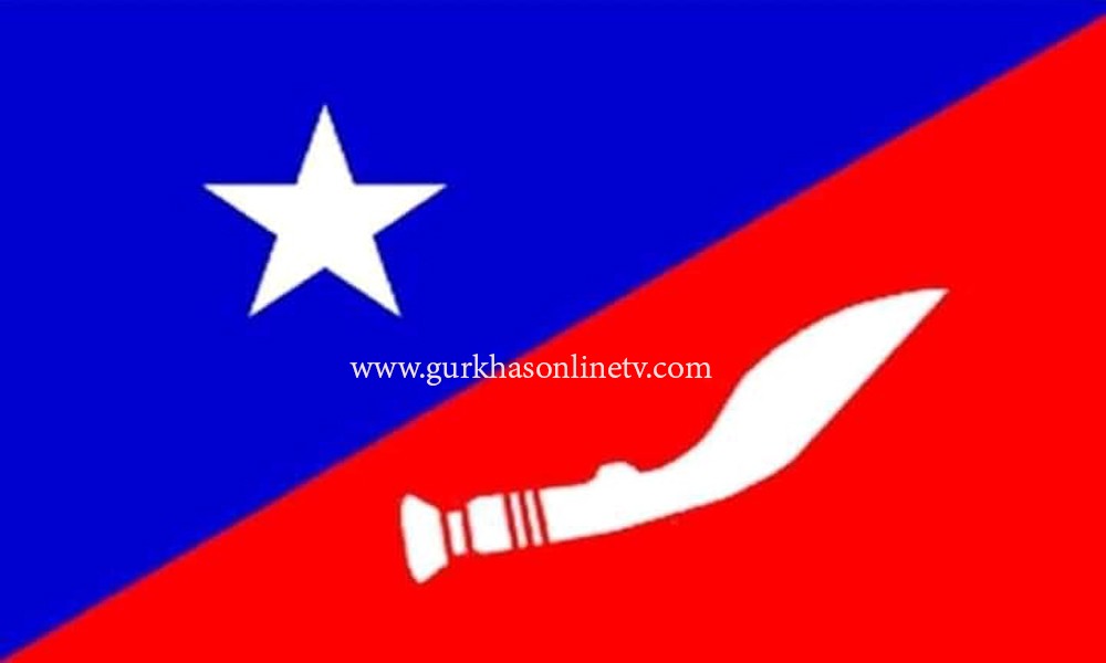 संगठनकाे झण्डा