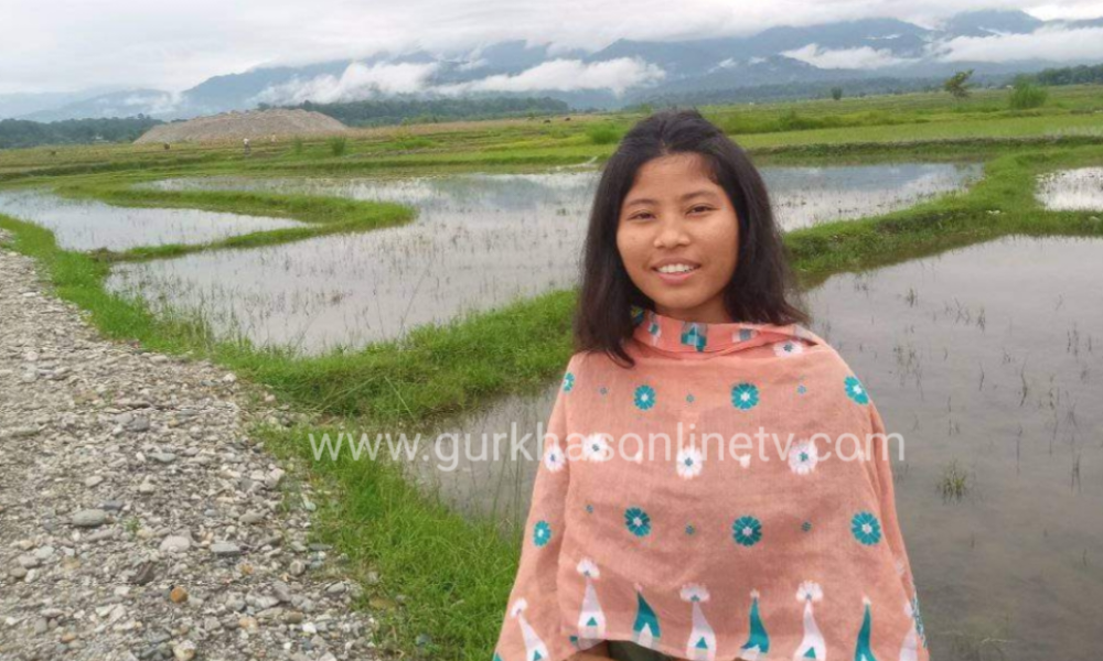 लेखक: सिनारा मेचे